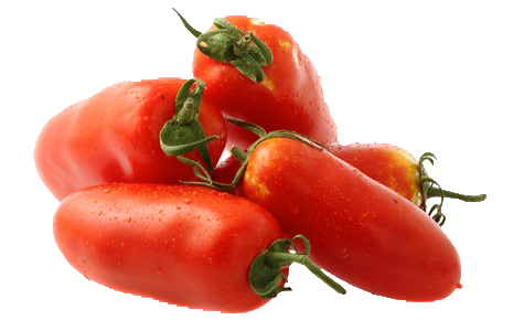 Tomates variété Roma idéales pour la purée
