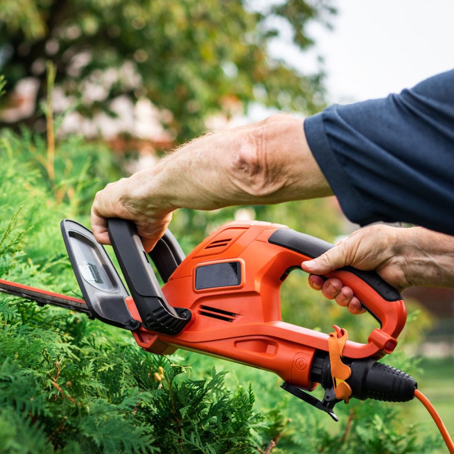 Guide d'Achat du Meilleur Taillehaie AgriEuro Blog — free download